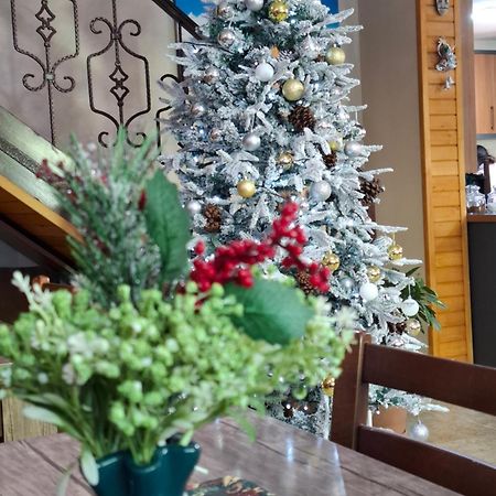 Lisaneli Otel Mestia Dış mekan fotoğraf