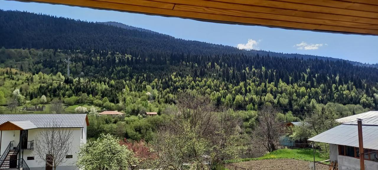 Lisaneli Otel Mestia Dış mekan fotoğraf